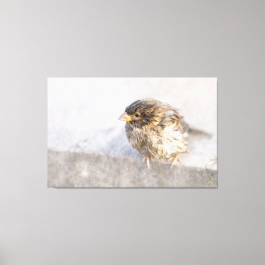 Sparrow - Weer Forecast Epic Fail Canvas Afdruk (Voorkant)