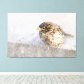 Sparrow - Weer Forecast Epic Fail Canvas Afdruk (Insitu (Houten vloer))