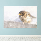 Sparrow - Weer Forecast Epic Fail Canvas Afdruk (Insitu (Houten vloer))
