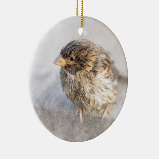 Sparrow - Weer Forecast Epic Fail Keramisch Ornament (Rechts)