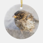 Sparrow - Weer Forecast Epic Fail Keramisch Ornament (Voorkant)