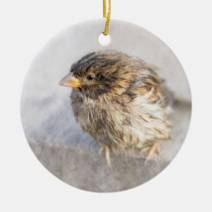 Sparrow - Weer Forecast Epic Fail Keramisch Ornament