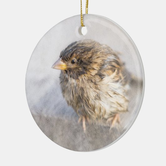 Sparrow - Weer Forecast Epic Fail Keramisch Ornament (Links)