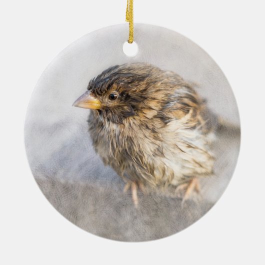 Sparrow - Weer Forecast Epic Fail Keramisch Ornament (Achterkant)