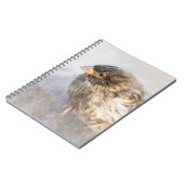 Sparrow - Weer Forecast Epic Fail Notitieboek (Linkerzijde)