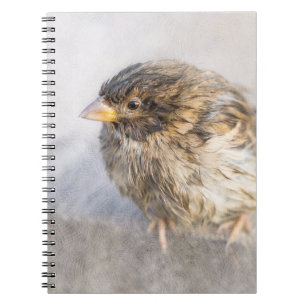 Sparrow - Weer Forecast Epic Fail Notitieboek