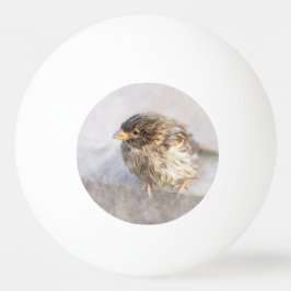 Sparrow - Weer Forecast Epic Fail Pingpongbal