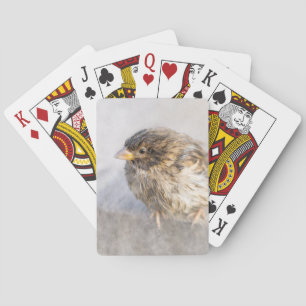Sparrow - Weer Forecast Epic Fail Pokerkaarten
