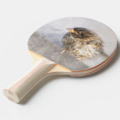 Sparrow - Weer Forecast Epic Fail Tafeltennisbatje (Voorkant Gekanteld)