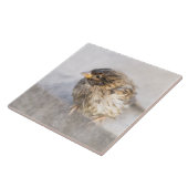 Sparrow - Weer Forecast Epic Fail Tegeltje (Zijkant)