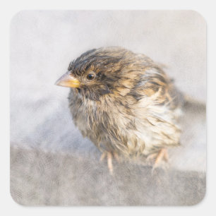 Sparrow - Weer Forecast Epic Fail Vierkante Sticker