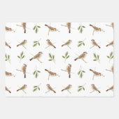 Sparrow Wrapping paper voor elke speciale gelegenh (Voorkant 2)