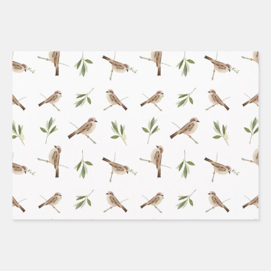 Sparrow Wrapping paper voor elke speciale gelegenh (Voorkant 2)