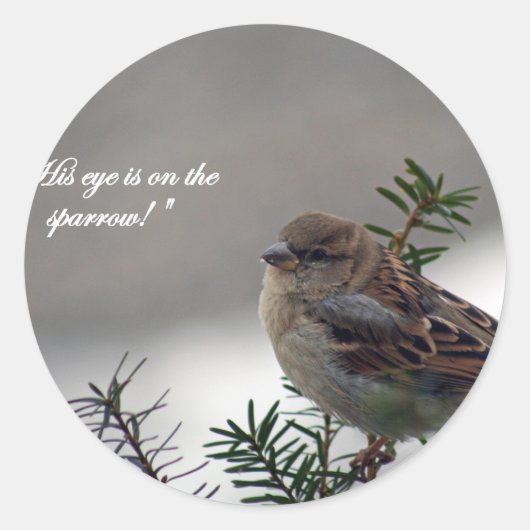 Sparrow, zijn oog is op de Sparrow! Ronde Sticker (Voorkant)