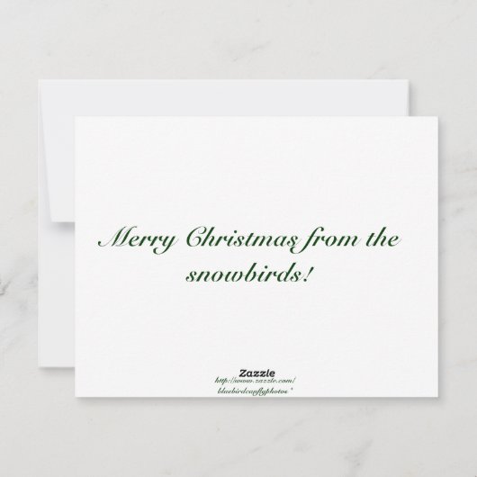 Sparrow, zijn oog staat op de Sparrow. Feestdagenkaart (Achterkant)