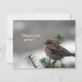 Sparrow, zijn oog staat op de Sparrow. Feestdagenkaart (Voorkant)