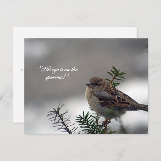 Sparrow, zijn oog staat op de Sparrow. Feestdagenkaart (Voorkant / Achterkant)