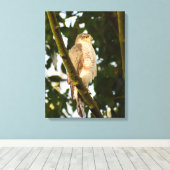 Sparrowhawk Canvas Afdruk (Insitu (Houten vloer))
