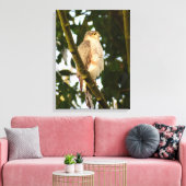 Sparrowhawk Canvas Afdruk (Insitu (Woonkamer))