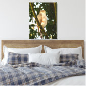 Sparrowhawk Canvas Afdruk (Insitu (Slaapkamer))