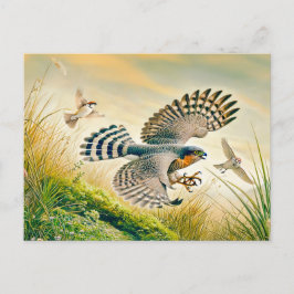 Sparrowhawk jacht in Meadow Feestdagenkaart