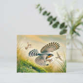 Sparrowhawk jacht in Meadow Feestdagenkaart (Staand voorkant)