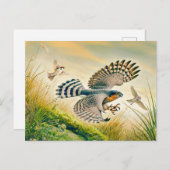 Sparrowhawk jacht in Meadow Feestdagenkaart (Voorkant / Achterkant)