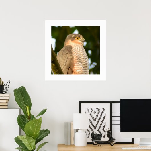 Sparrowhawk Poster (Thuiskantoor)