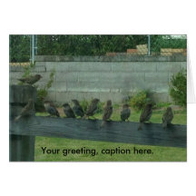 Sparrows Birds on a Rail Your Words Cards