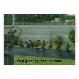Sparrows Birds on a Rail Your Words Cards
