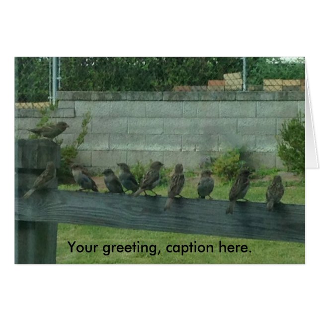 Sparrows Birds on a Rail Your Words Cards (Voorkant Horizontaal)