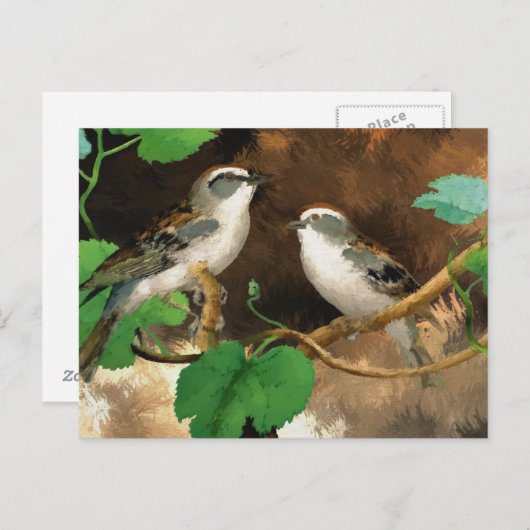 Sparrows Briefkaart (Voorkant / Achterkant)