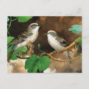 Sparrows Briefkaart