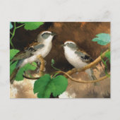 Sparrows Briefkaart (Voorkant)