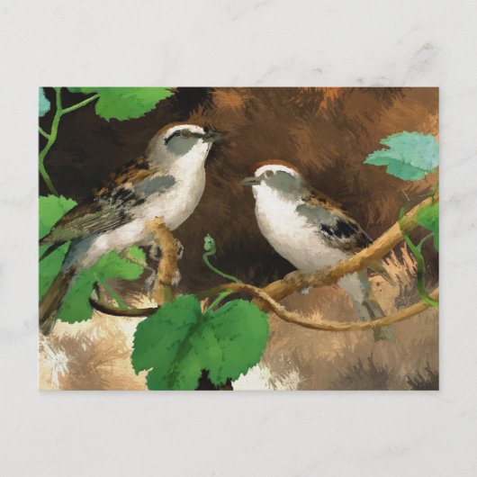 Sparrows Briefkaart (Voorkant)