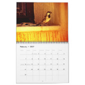 Sparrows en Finches Kalender (Feb 2027)