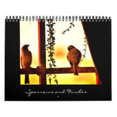 Sparrows en Finches Kalender (Hoes)