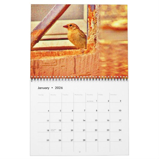 Sparrows en Finches Kalender (Jan 2026)