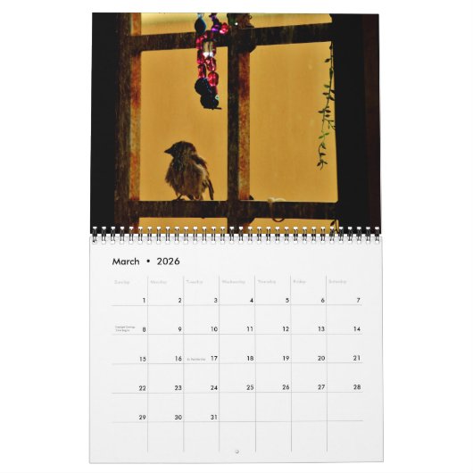 Sparrows en Finches Kalender (Mar 2026)