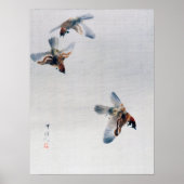 Sparrows Flying, Watanabe Seitei Poster (Voorkant)
