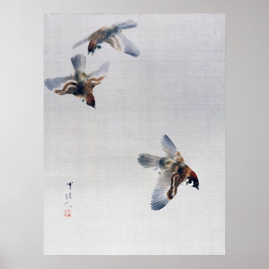 Sparrows Flying, Watanabe Seitei Poster (Voorkant)