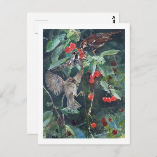 Sparrows in a Cherry Tree, Bruno Liljefors Briefkaart (Voorkant / Achterkant)