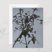 Sparrows in Tree with Autumn Flowers DIY Postcard Feestdagenkaart (Voorkant / Achterkant)