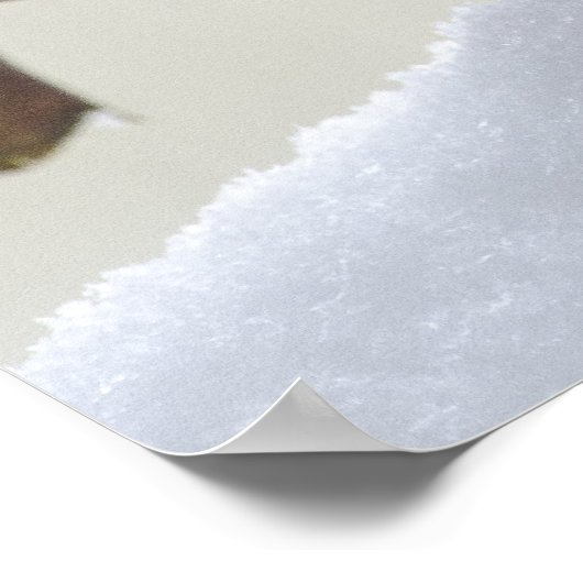 Sparrows in Winter Poster (Hoek)