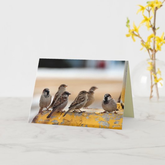 Sparrows Kaart (Gele Bloem)
