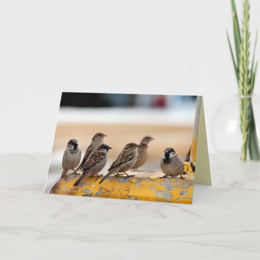 Sparrows Kaart (Voorkant)