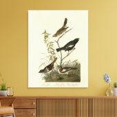 Sparrows, Lark Bunting, Audubon's Birds of America Canvas Afdruk (Insitu (Woonkamer))