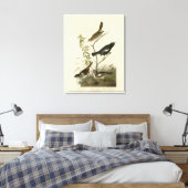 Sparrows, Lark Bunting, Audubon's Birds of America Canvas Afdruk (Insitu (Slaapkamer))