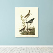Sparrows, Lark Bunting, Audubon's Birds of America Canvas Afdruk (Insitu (Houten vloer))