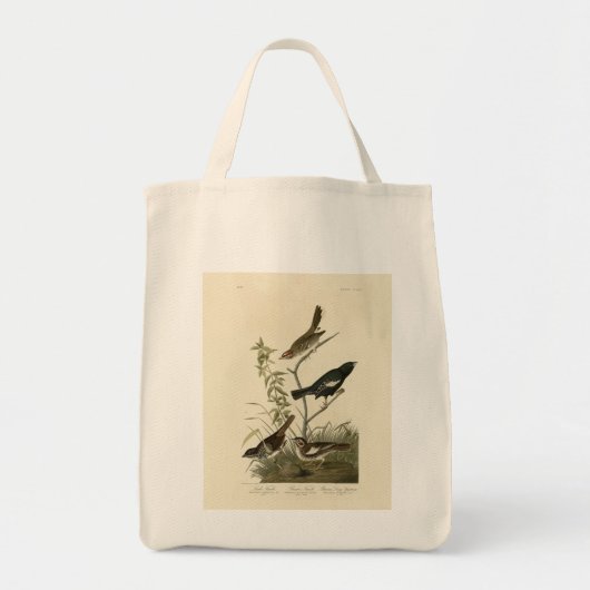 Sparrows, Lark Bunting, Audubon's Birds of America Tote Bag (Voorkant)
